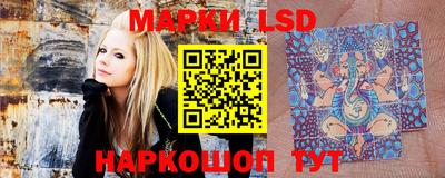 гидропоника Краснознаменск