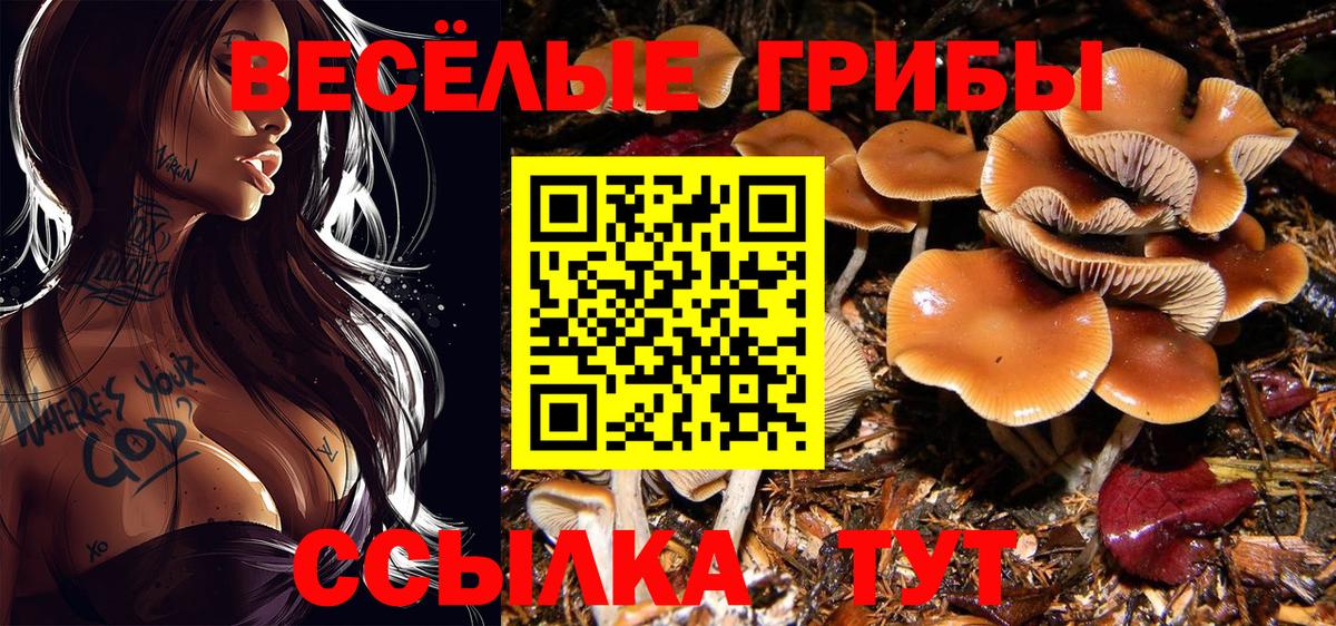 Галлюциногенные грибы Cubensis  Псилоцибиновые грибы GOLDEN TEACHER  Вход с VPN  Ейск 