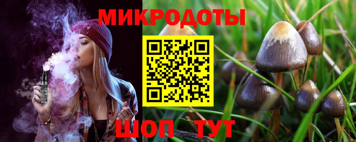 Псилоцибиновые грибы MAGIC MUSHROOMS Ейск